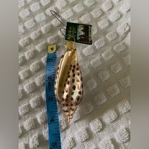 Old World Christmas Junonia Shell Glass Ornament